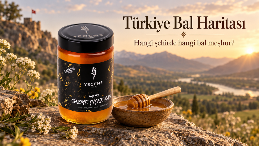 Türkiye Bal Haritası: Hangi Şehirde Hangi Bal Meşhur? | 2026