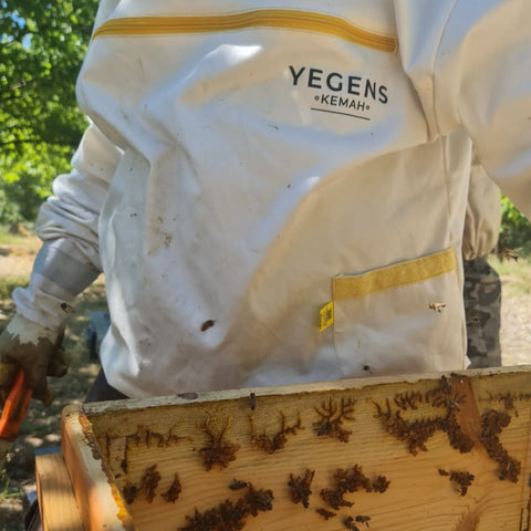 800 Gr Yegens Hakiki Karakovan Balı | TA17.5+ | 900 Prolin | Erzincan - Kemah | Doğal Karakovan Balı